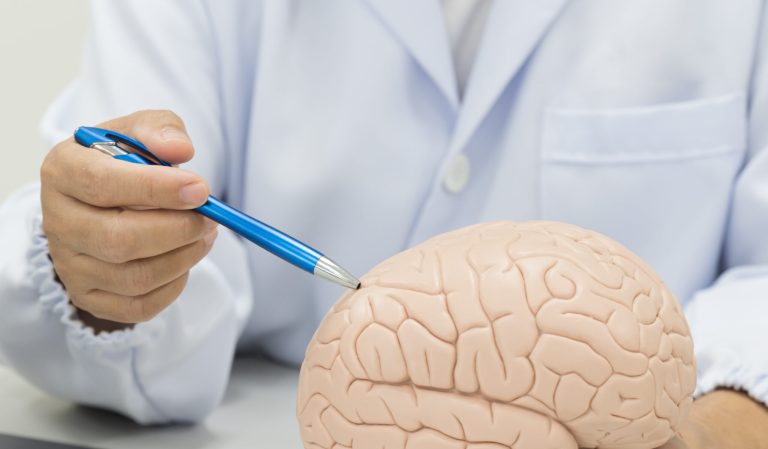 Reprogramar el cerebro