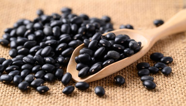 Porotos negros
